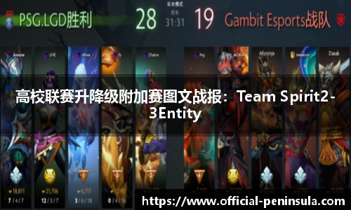 高校联赛升降级附加赛图文战报：Team Spirit2-3Entity